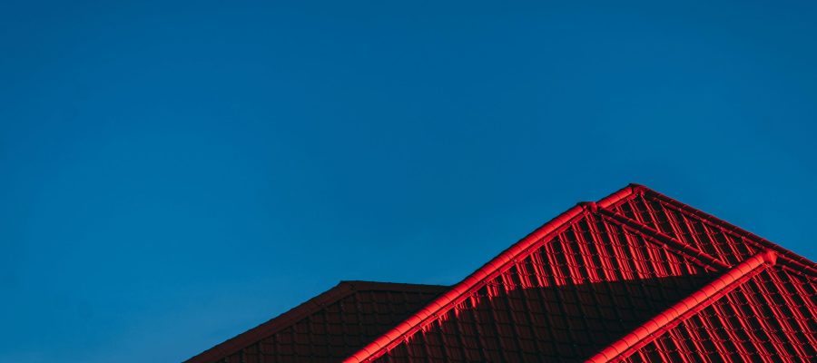 robin-kutesa-wmhhsI7GUQ8-unsplash (1) robin-kutesa-wmhhsI7GUQ8-unsplash (1)