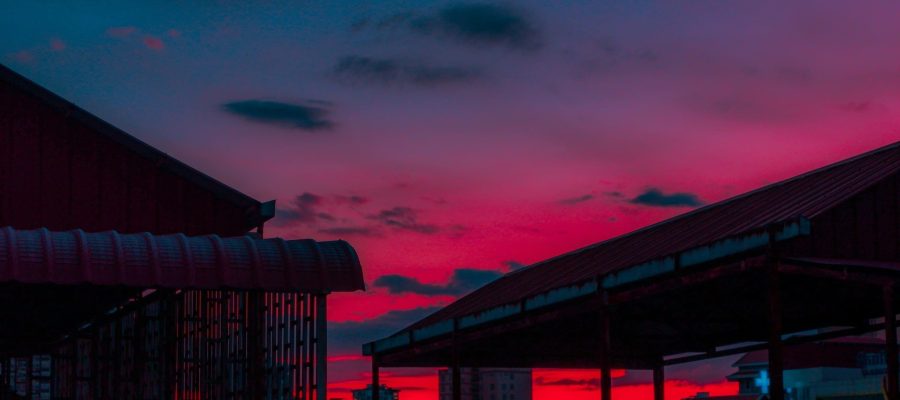viphia-august-f0nqiLOESW4-unsplash (1) viphia-august-f0nqiLOESW4-unsplash (1)